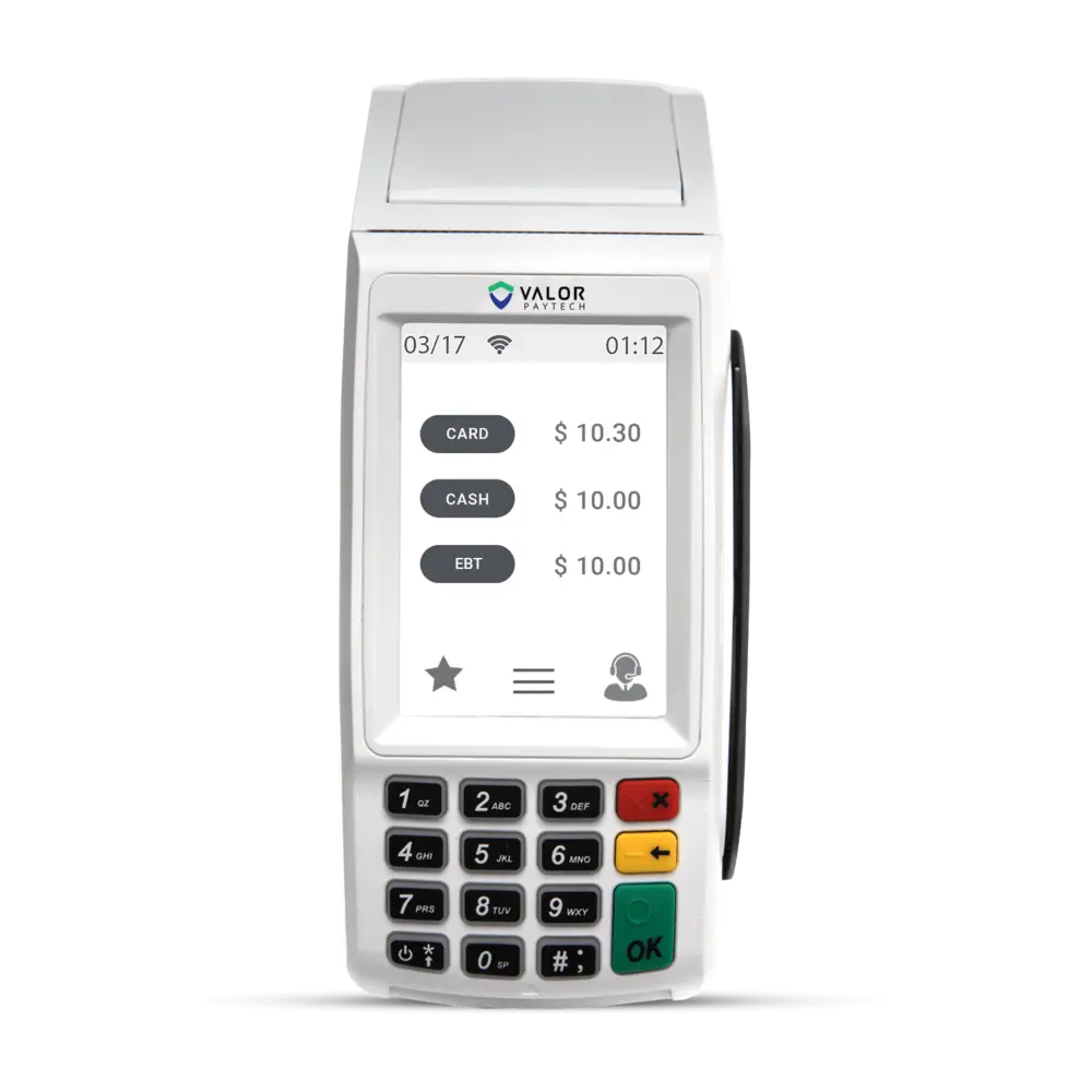 Valor VL100
